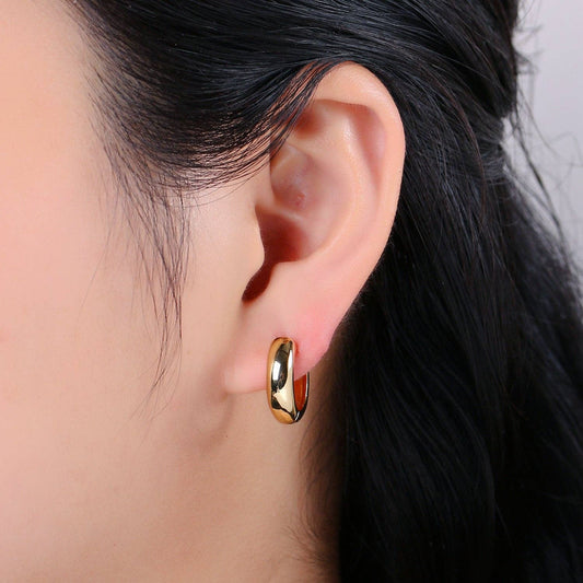 #246 HUGGIE Small Huggie Hoop Earrings